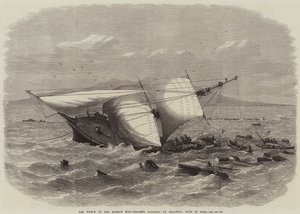 Het wrak van de Bombay Mail-Steamer Carnatic bij Shadwan, Golf van Suez